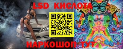 гидропоника Бердск