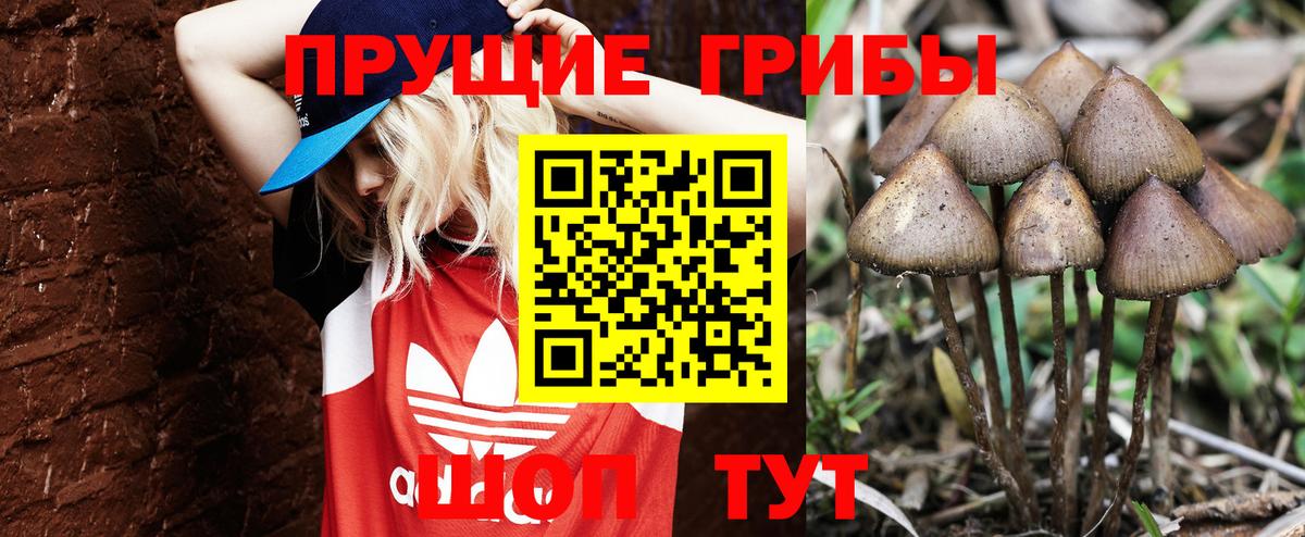 Галлюциногенные грибы MAGIC MUSHROOMS Нижнеудинск
