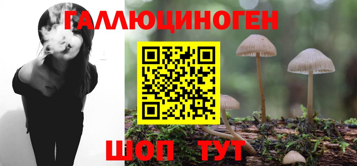 Галлюциногенные грибы прущие грибы  Вход с VPN  Нижнеудинск 